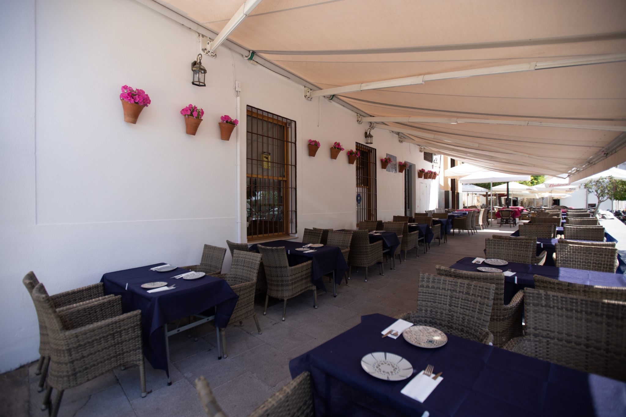 Taberna Rio La Terraza Perfecta: La Taberna del Río - La Taberna Del Rio